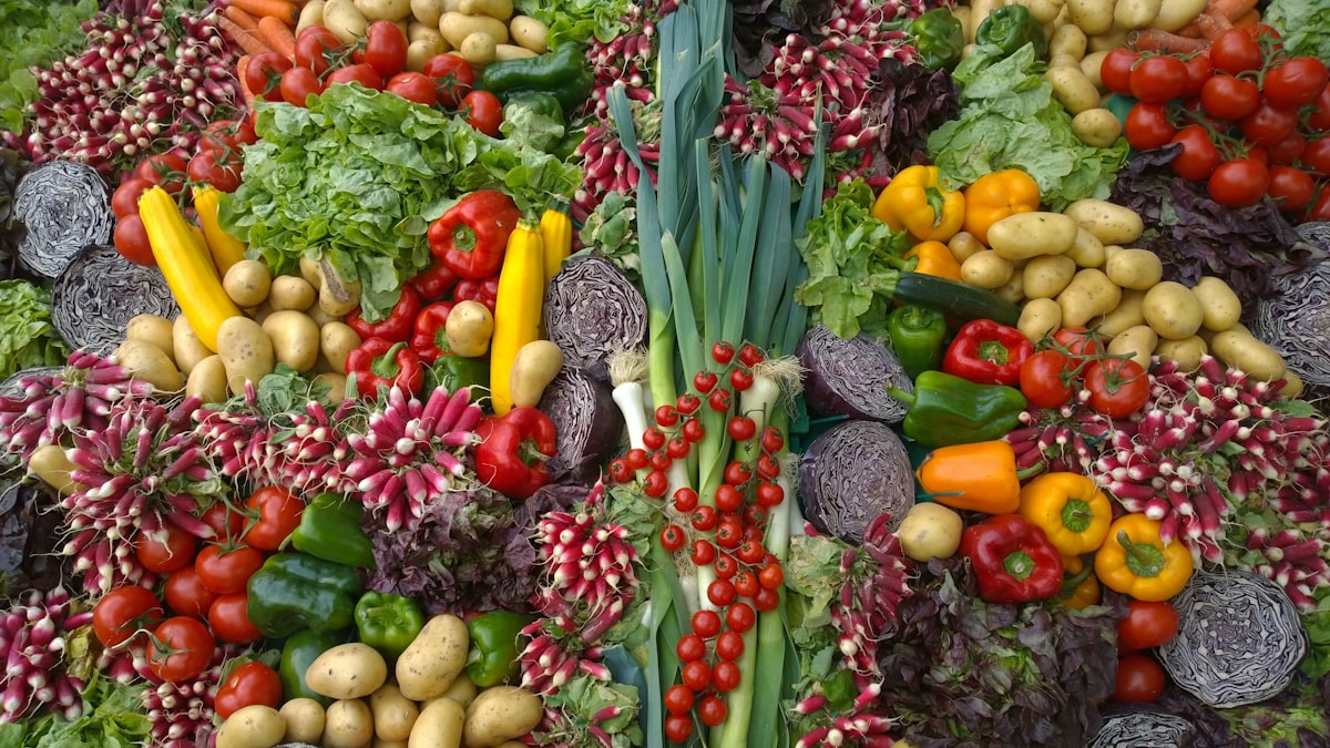 Ernährungstipps für tägliche gesunde Gewohnheiten